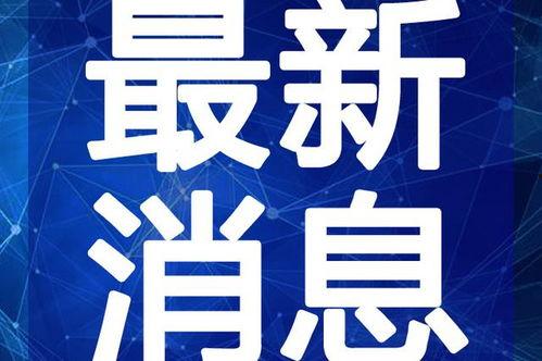 郑州爆料王小磊视频最新,揭秘事件背后真相