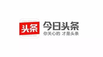 下载今日头条图标,简约大气，彰显品牌新形象
