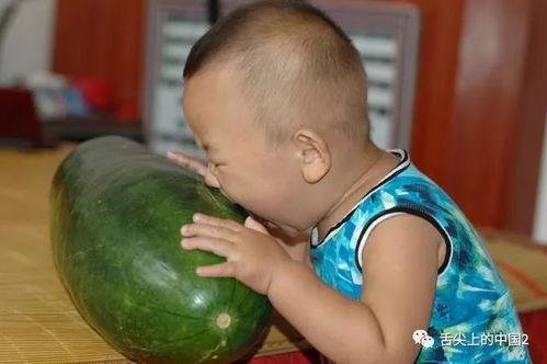 冬瓜明星,揭秘蔬菜界的璀璨之星