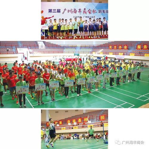 广东海丰爆料新闻,事件详情及最新进展