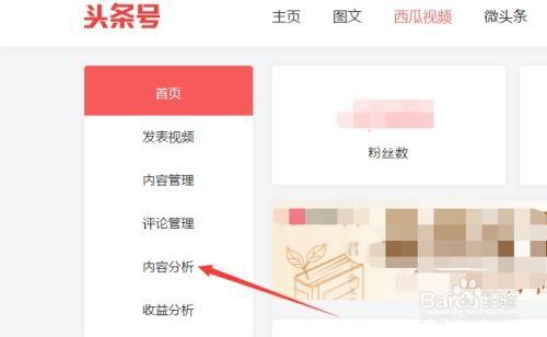 如何查头条号的类型,轻松掌握账号属性