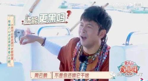 吃瓜小宁哥,揭秘娱乐圈幕后故事