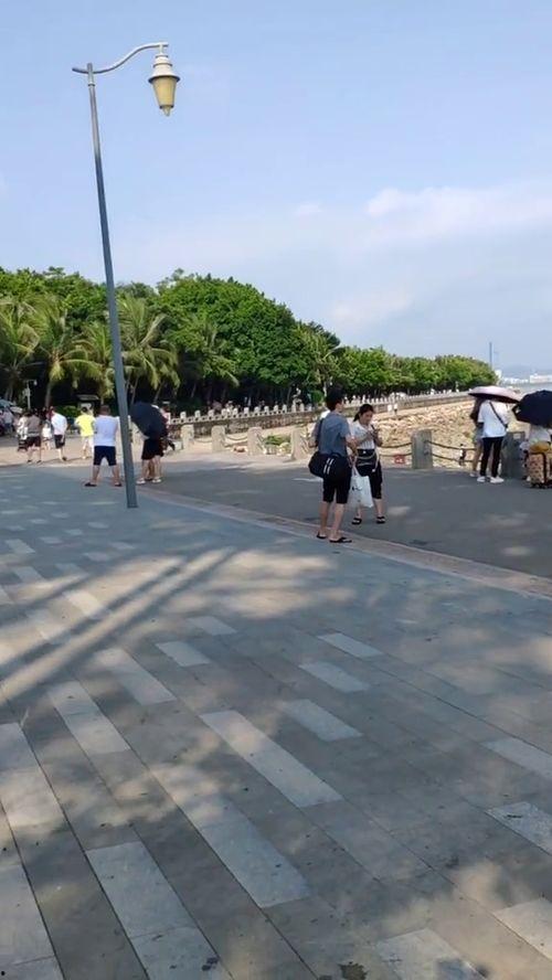 海湾公园 网红打卡地点,网红打卡地，魅力无限的美景集锦