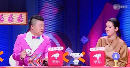 奇葩说明星压力,奇葩明星压力下的生存法则揭秘