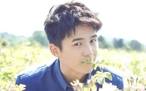 爆料王一博刘昊然事件视频,真相揭秘，网友热议