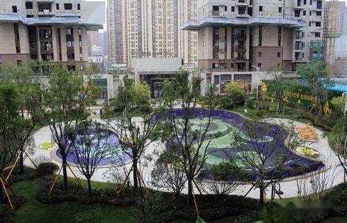 渭南碧桂园爆料最新消息,揭秘项目进展与未来规划