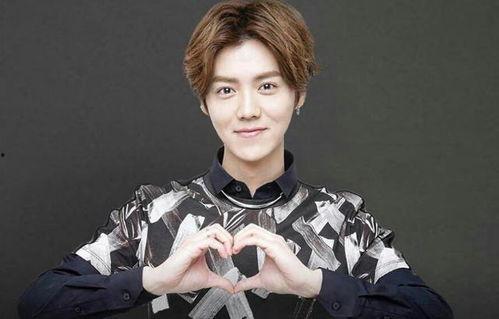 圈内人爆料鹿晗完整,圈内人爆料背后的真实故事