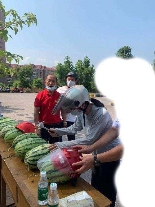 蒙城吃瓜事件,一场引发全民热议的网络狂欢