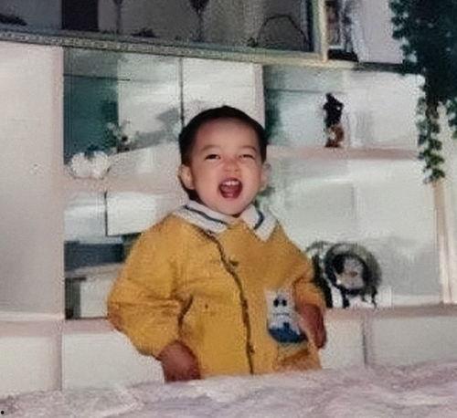 小时候爱打架的明星