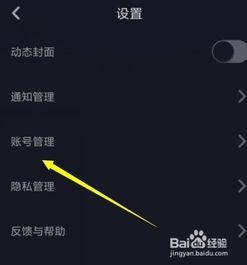 怎样拍视频放头条上,视频拍摄与发布攻略