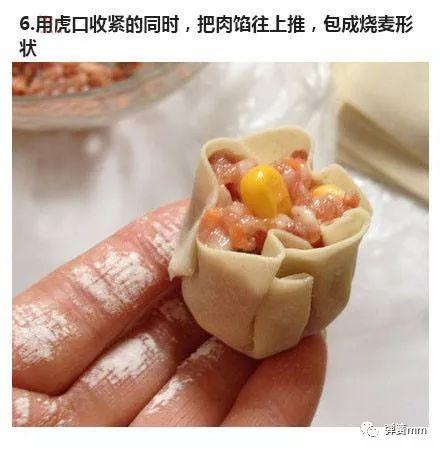 网红鲜肉烧麦的做法,家常美味，轻松上手的经典小吃