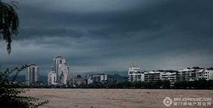 老家是南平邵武的网红,探寻南平邵武网红背后的魅力故事