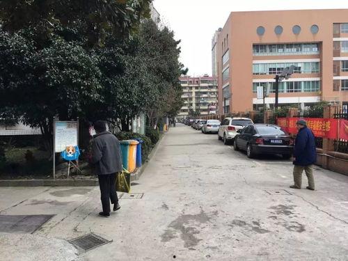 龙岩头条南城街道污水,龙岩头条聚焦环保新篇章