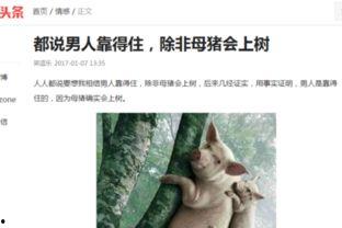 惠州今日头条搞笑视频,搞笑视频笑翻天，网友直呼“笑到肚子疼”！